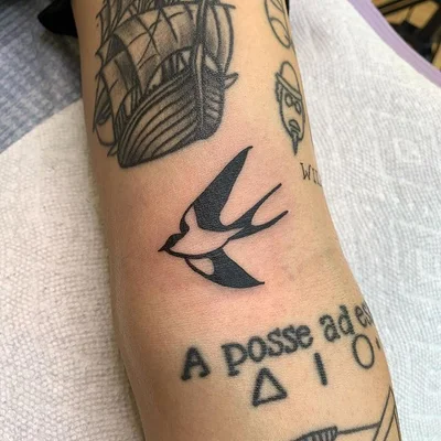 Wildseed tattoo 038
