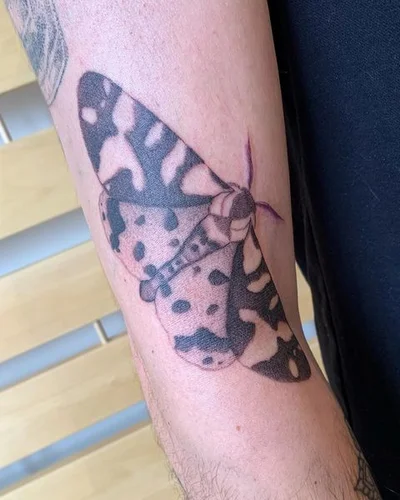 Wildseed tattoo 048