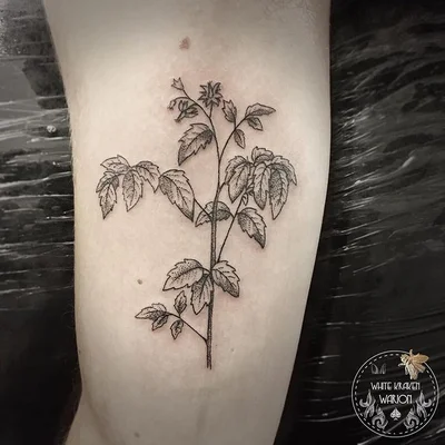 Warion Darkbonny tattoo 022