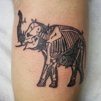 Amber Fae Wild tattoo 026