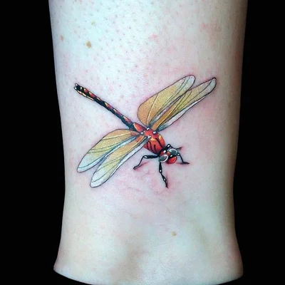 Will Dixon tattoo 027