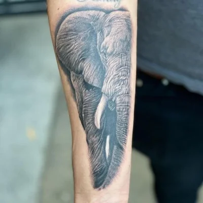 Wlodek tattoo 008