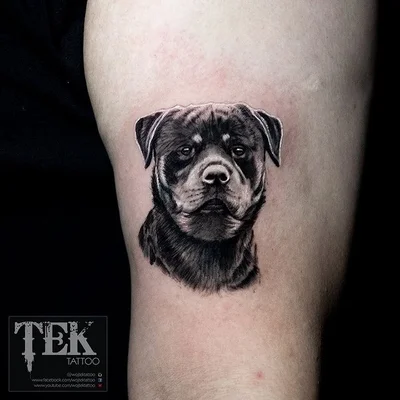 Wojtek Tek tattoo 023