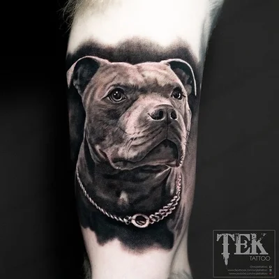 Wojtek Tek tattoo 041