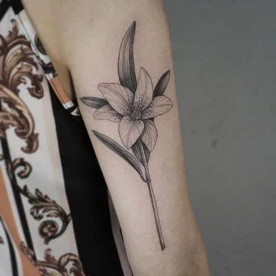Wolfgang Tattooer tattoo 031