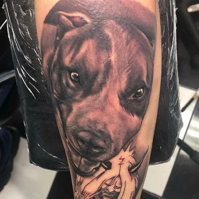 Wolfpack Tattoo tattoo 042