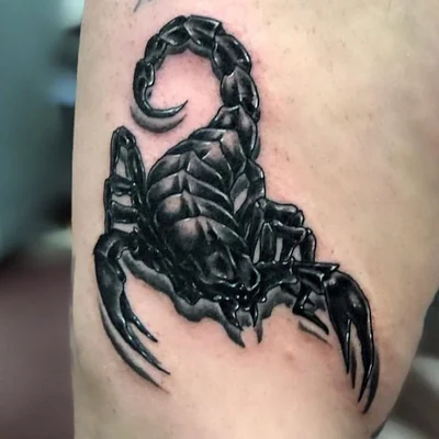 Wolf Mike Jaggers tattoo 048