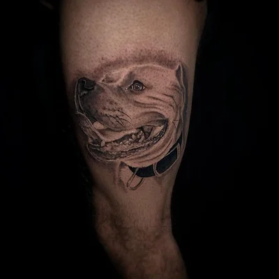 Xavier tattoo 030