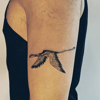 Léo Lavande tattoo 018