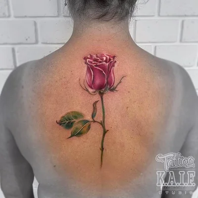 Ksenia tattoo 022