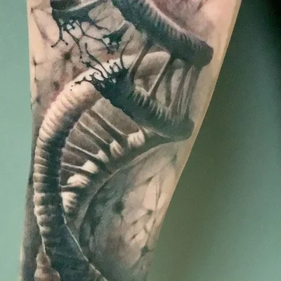 Alexander Yarmolenko tattoo 048