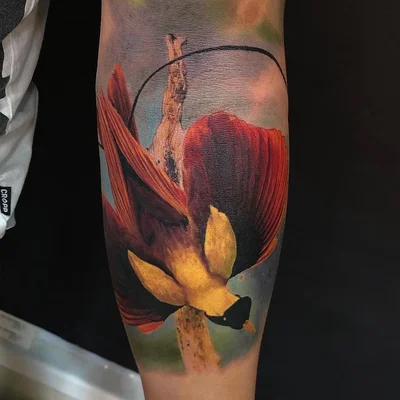 ZAED TATTOO tattoo 019