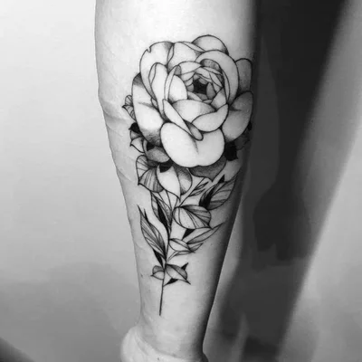 Zarfani tattoo 027