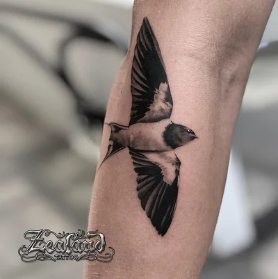 Zealand Tattoo tattoo 020