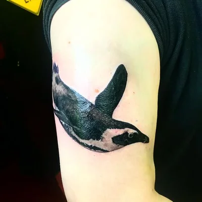 Zeb Powell tattoo 021