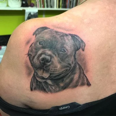Zeb Powell tattoo 022