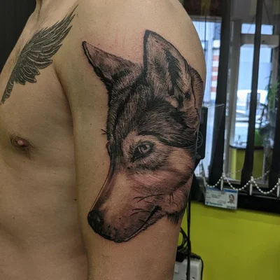 Zeb Powell tattoo 034