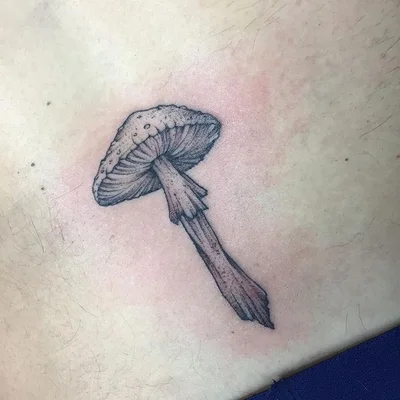 Zelia Ruiz tattoo 031