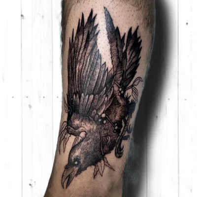 Mateus Zerbini tattoo 026