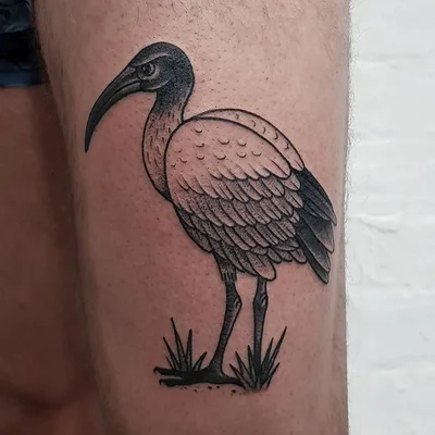 ZERO tattoo 010