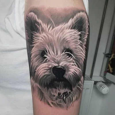 Zhivko Petrov tattoo 010