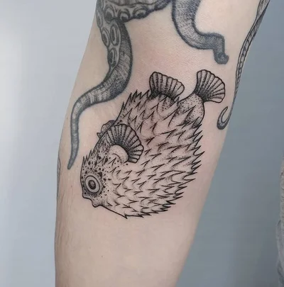 Zina tattoo 012