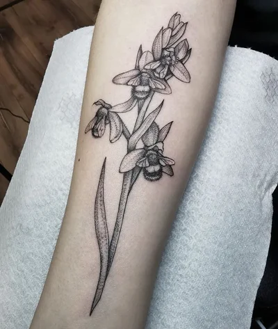Zina tattoo 019