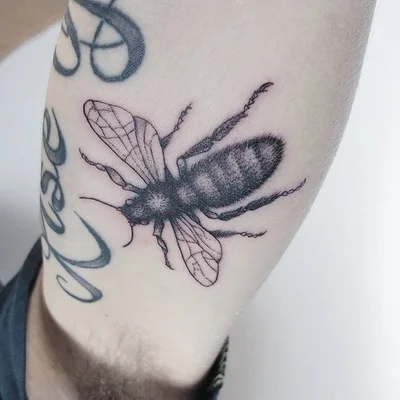 Zina tattoo 023