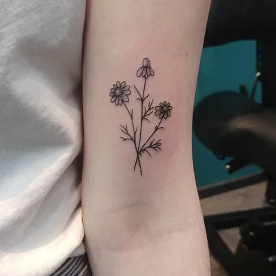 Zina tattoo 024