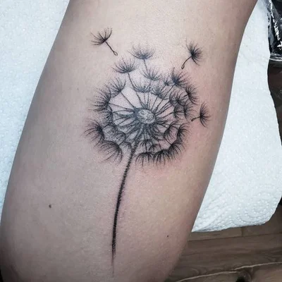 Zina tattoo 032