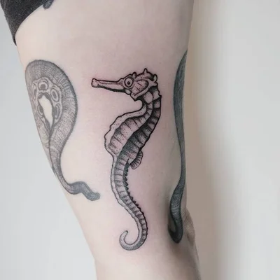 Zina tattoo 034