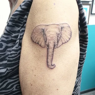 Zina tattoo 043