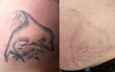 zINKnij tattoo 016
