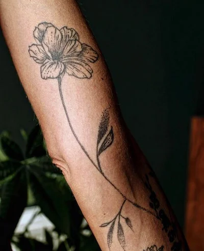 ZZENT tattoo 042